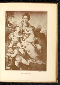 Andrea del Sarto 1904 (130651101)