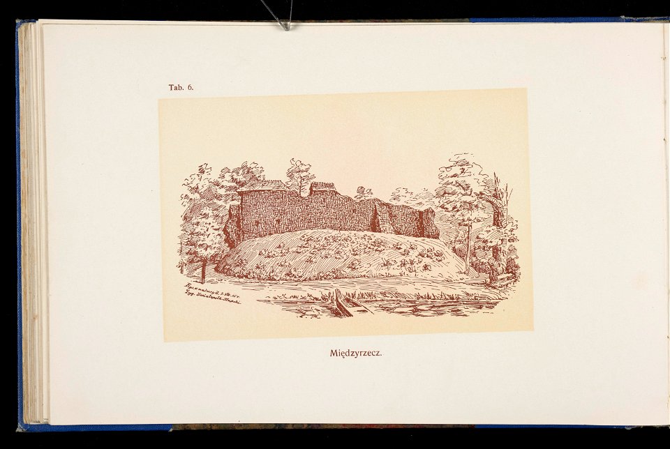 Album naszych zabytkow. T. 1, Koscioly drewniane. Cz. 1, Dyec. gnieznienska 1917 (84001040)