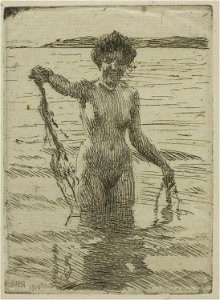 Zorn - Seaweed, 1927.2017