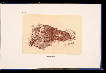 Album naszych zabytkow. T. 1, Koscioly drewniane. Cz. 1, Dyec. gnieznienska 1917 (84001084)