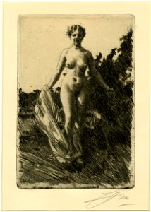 Zorn - Summer, 1924,0826.4