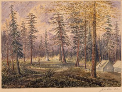 Akleu Cache. Near the Kootenay R. looking S - NARA - 305516