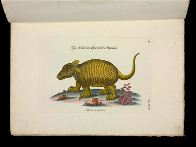 Angenehmer und nutzlicher Zeit-Vertreib mit Betrachtung curioser Vorstellungen allerhand kriechender, fliegender und schwimmender Thiere 1756 (44268894)
