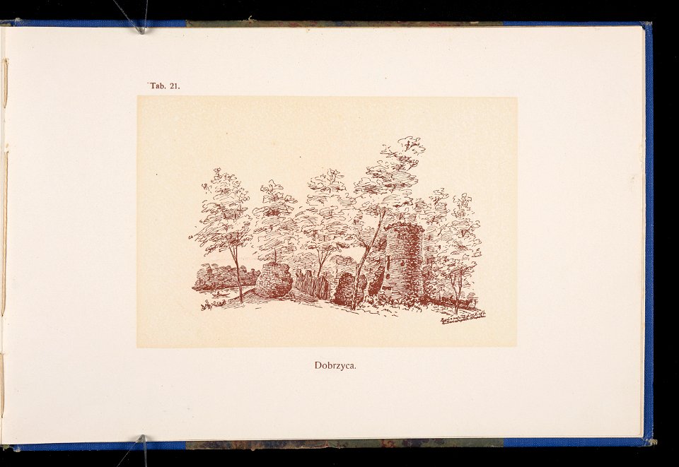 Album naszych zabytkow. T. 1, Koscioly drewniane. Cz. 1, Dyec. gnieznienska 1917 (84002789)