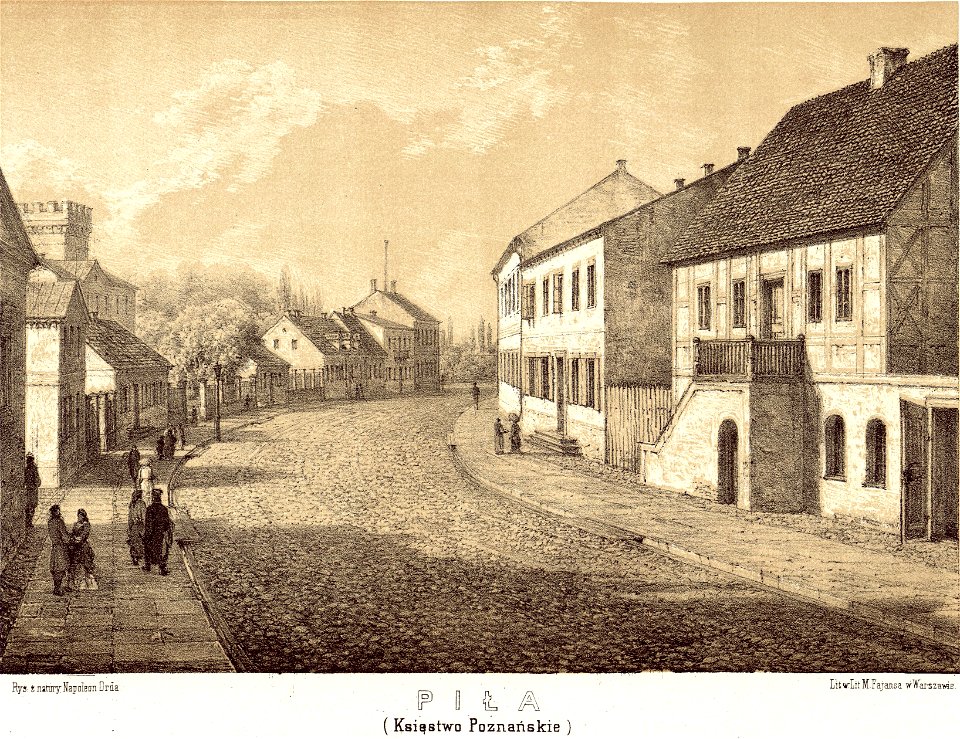 Album widokow przedstawiajacych miejsca historyczne Ksiestwa Poznanskiego i Prus Zachodnich 1880 (5414442) (cropped)