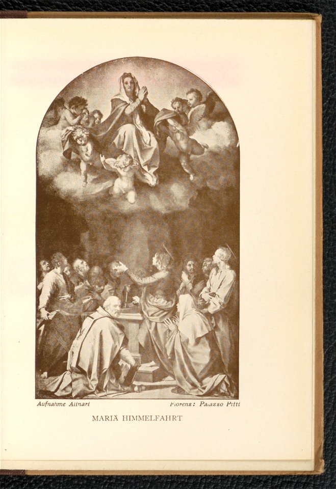 Andrea del Sarto 1904 (130651277)