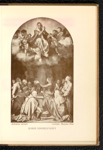 Andrea del Sarto 1904 (130651277)