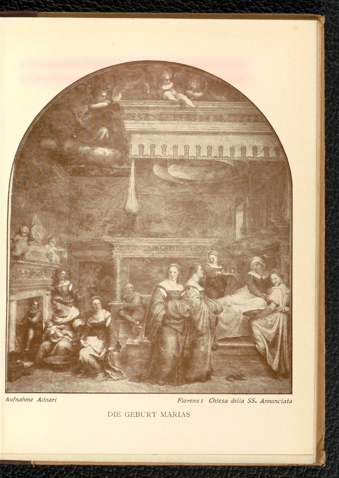 Andrea del Sarto 1904 (130650999)