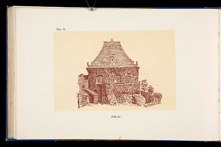 Album naszych zabytkow. T. 1, Koscioly drewniane. Cz. 1, Dyec. gnieznienska 1917 (84002587)