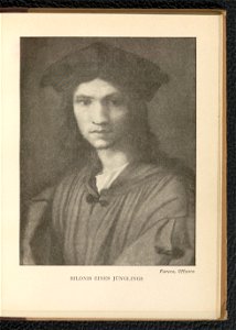 Andrea del Sarto 1904 (130651212)