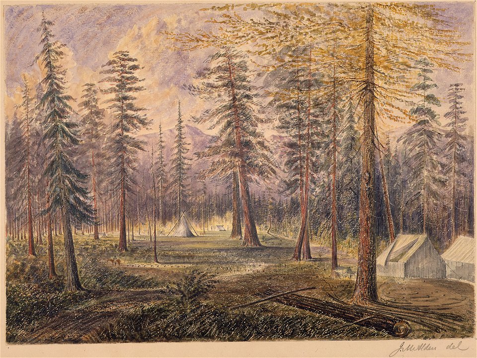 Akleu Cache. Near the Kootenay R. looking S - NARA - 305516