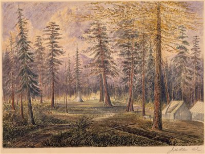 Akleu Cache. Near the Kootenay R. looking S - NARA - 305516