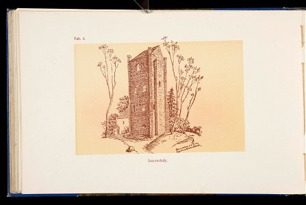 Album naszych zabytkow. T. 1, Koscioly drewniane. Cz. 1, Dyec. gnieznienska 1917 (84000970)