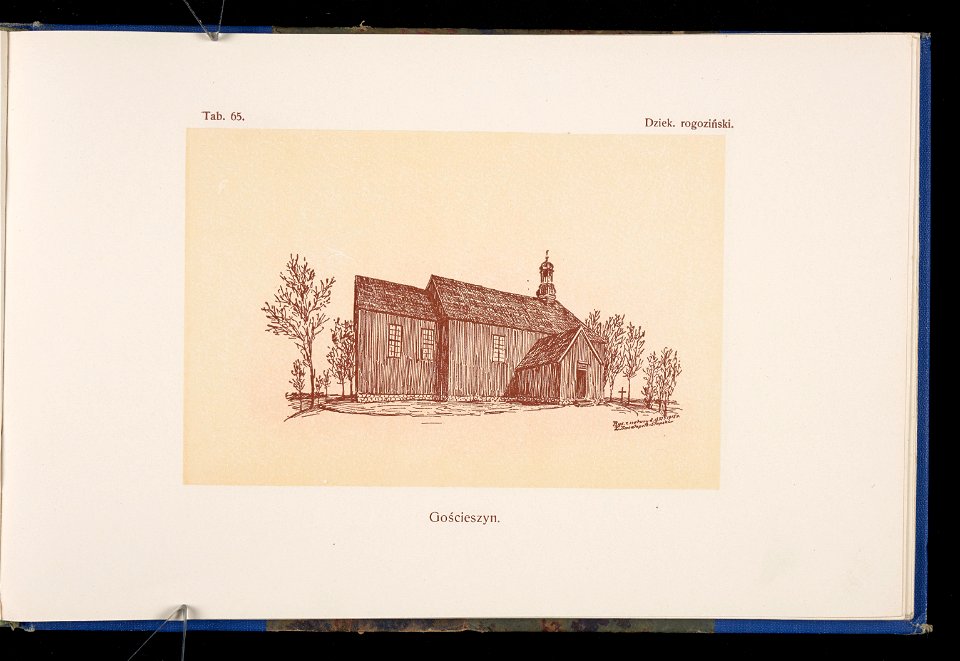 Album naszych zabytkow. T. 1, Koscioly drewniane. Cz. 1, Dyec. gnieznienska 1917 (84000359)