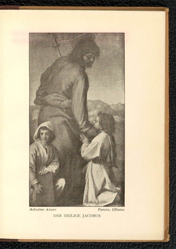 Andrea del Sarto 1904 (130651306)