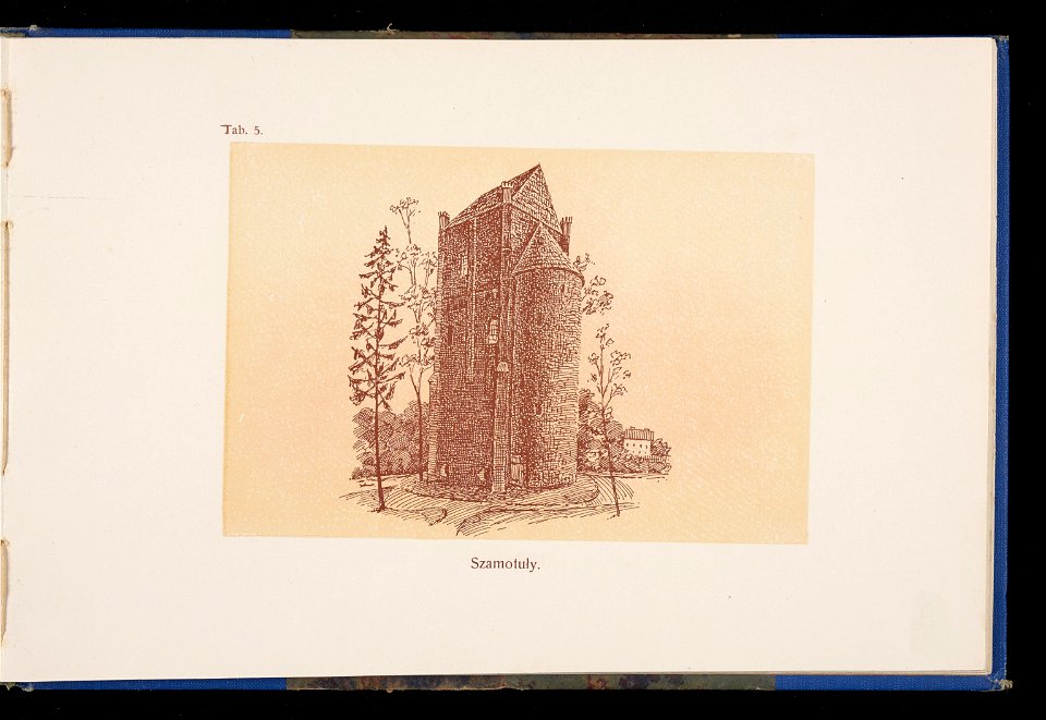 Album naszych zabytkow. T. 1, Koscioly drewniane. Cz. 1, Dyec. gnieznienska 1917 (84001012)