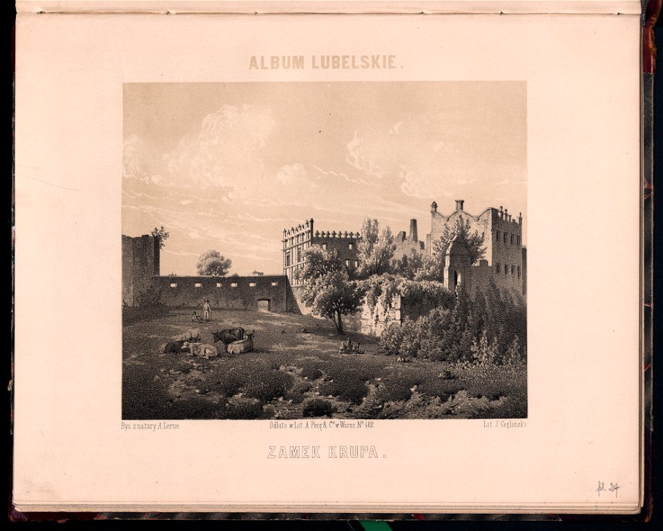 Album lubelskie. Oddzial 2. 1858-1859 (8265350)