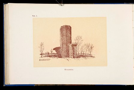 Album naszych zabytkow. T. 1, Koscioly drewniane. Cz. 1, Dyec. gnieznienska 1917 (84000882)