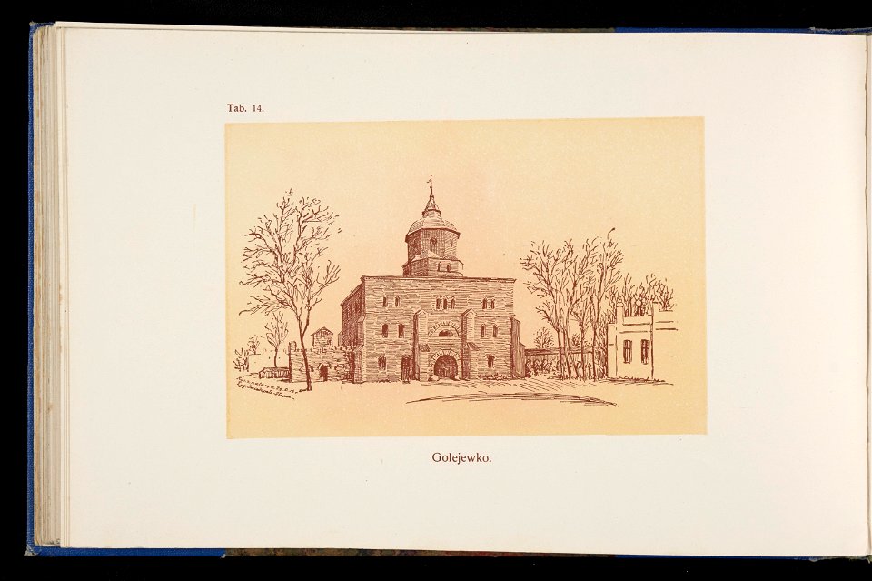 Album naszych zabytkow. T. 1, Koscioly drewniane. Cz. 1, Dyec. gnieznienska 1917 (84002168)