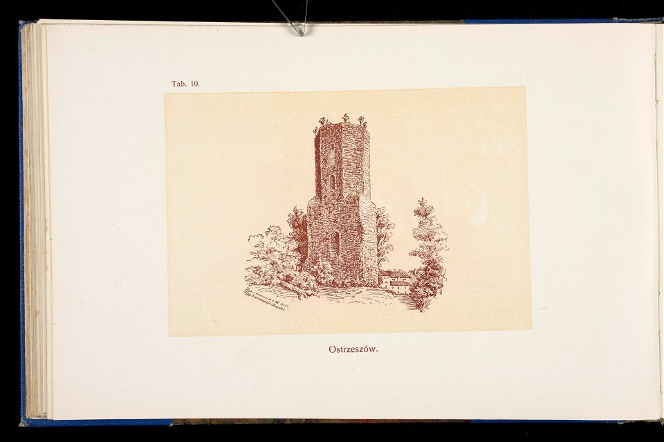 Album naszych zabytkow. T. 1, Koscioly drewniane. Cz. 1, Dyec. gnieznienska 1917 (84001659)