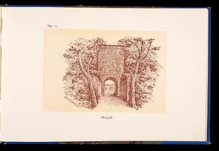 Album naszych zabytkow. T. 1, Koscioly drewniane. Cz. 1, Dyec. gnieznienska 1917 (84002077)
