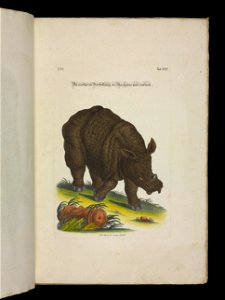 Angenehmer und nutzlicher Zeit-Vertreib mit Betrachtung curioser Vorstellungen allerhand kriechender, fliegender und schwimmender Thiere 1756 (44269097)