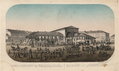 Album widokow i okolic Warszawy 1855 (312762)