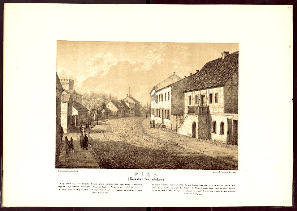Album widokow przedstawiajacych miejsca historyczne Ksiestwa Poznanskiego i Prus Zachodnich 1880 (5414442)
