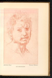 Andrea del Sarto 1904 (130650949)