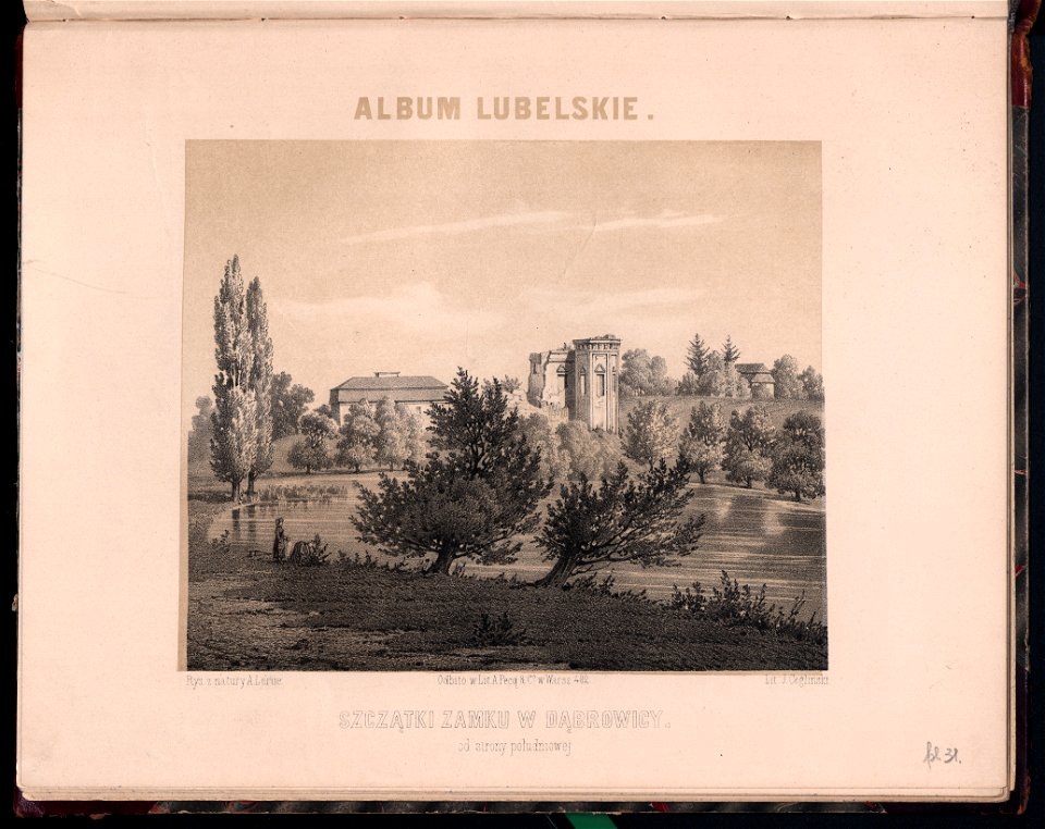 Album lubelskie. Oddzial 2. 1858-1859 (8265358)