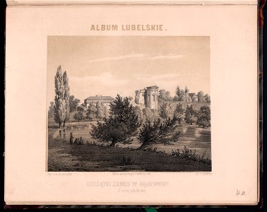 Album lubelskie. Oddzial 2. 1858-1859 (8265358)