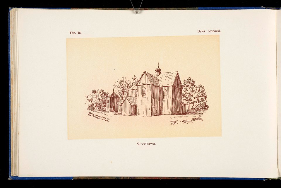 Album naszych zabytkow. T. 1, Koscioly drewniane. Cz. 1, Dyec. gnieznienska 1917 (83999207)