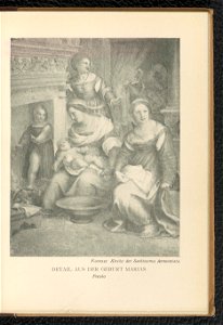 Andrea del Sarto 1904 (130651024)