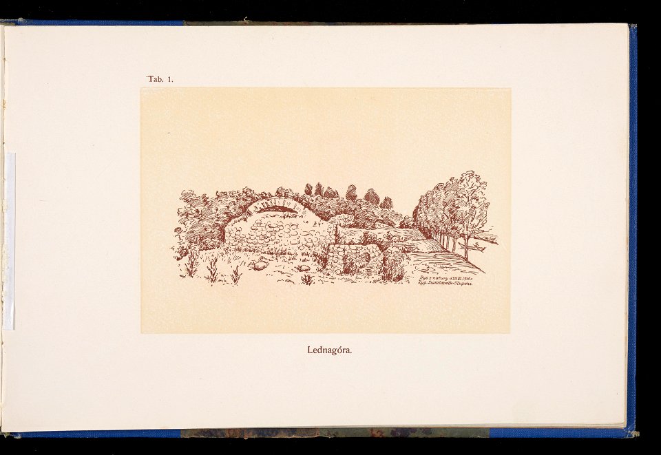 Album naszych zabytkow. T. 1, Koscioly drewniane. Cz. 1, Dyec. gnieznienska 1917 (84000835)