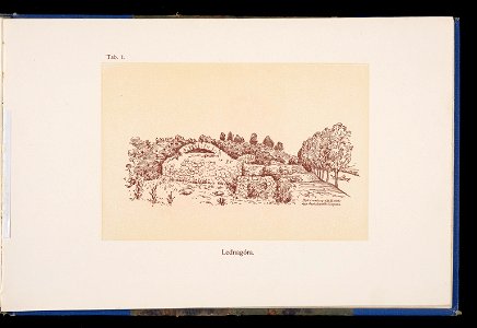 Album naszych zabytkow. T. 1, Koscioly drewniane. Cz. 1, Dyec. gnieznienska 1917 (84000835)