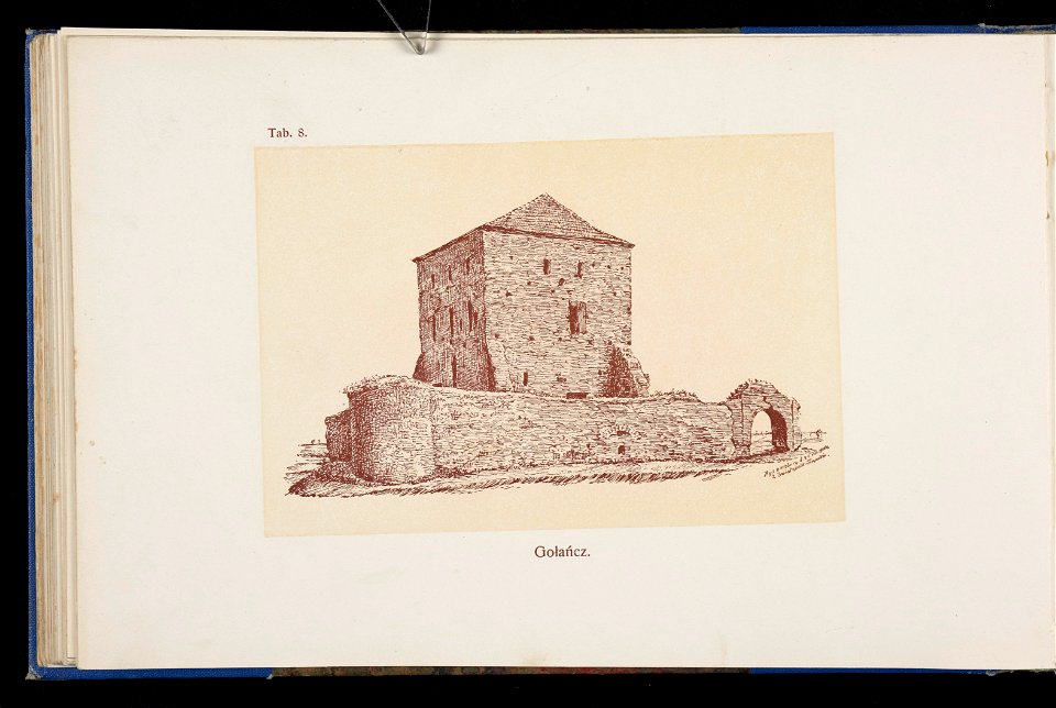Album naszych zabytkow. T. 1, Koscioly drewniane. Cz. 1, Dyec. gnieznienska 1917 (84001133)