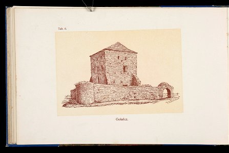 Album naszych zabytkow. T. 1, Koscioly drewniane. Cz. 1, Dyec. gnieznienska 1917 (84001133)
