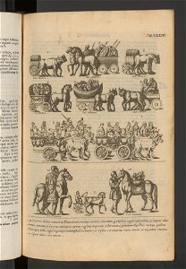 Antiqvitates Graecae Et Romanae 1763 (95162254)