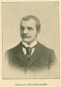 Antoni Mieszkowski (80862)