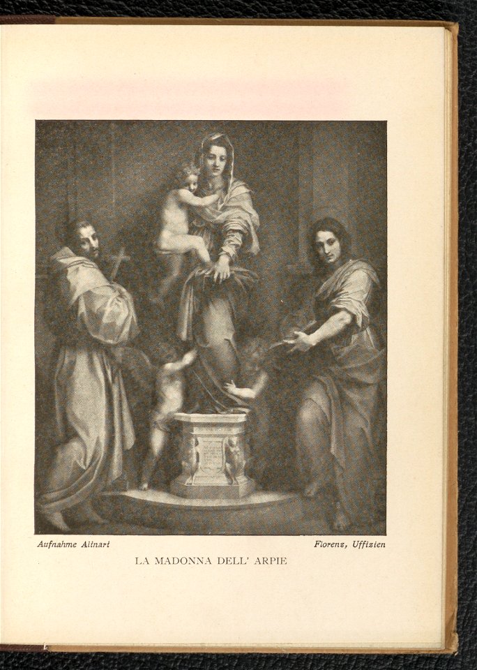 Andrea del Sarto 1904 (130651076)