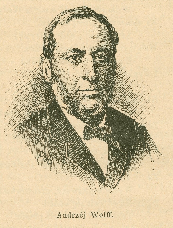 Andrzej Wolff (59567)