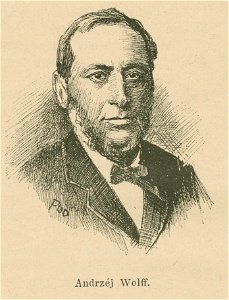 Andrzej Wolff (59567)