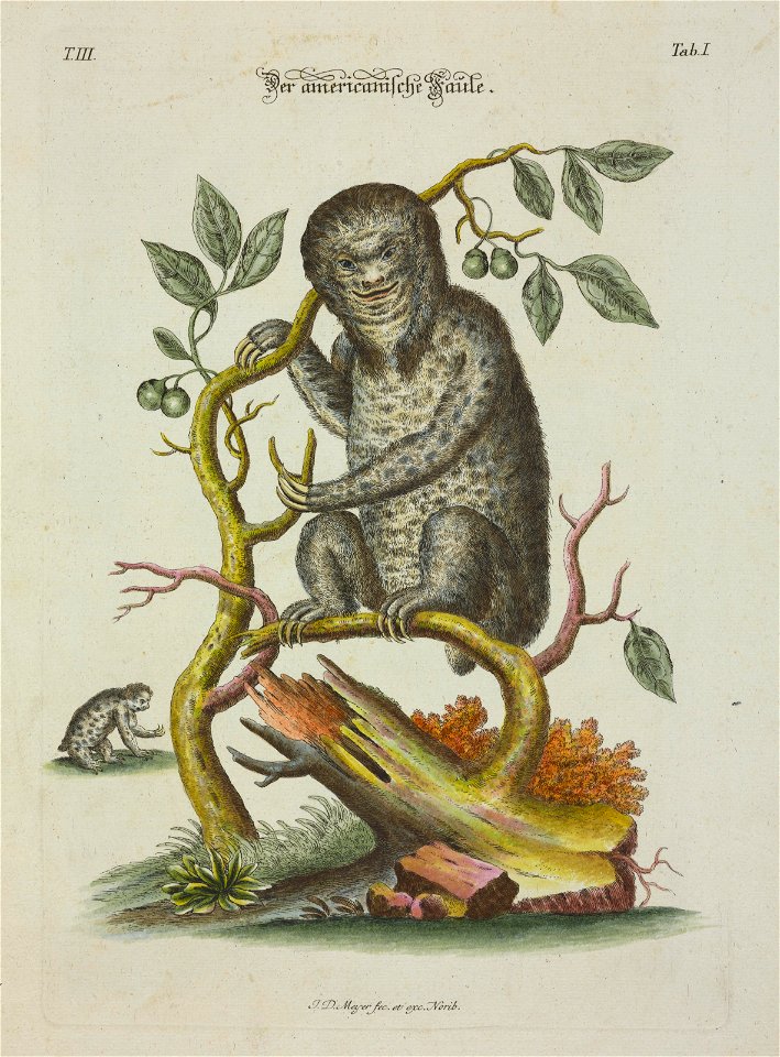Angenehmer und nutzlicher Zeit-Vertreib mit Betrachtung curioser Vorstellungen allerhand kriechender, fliegender und schwimmender Thiere 1756 (44264923)