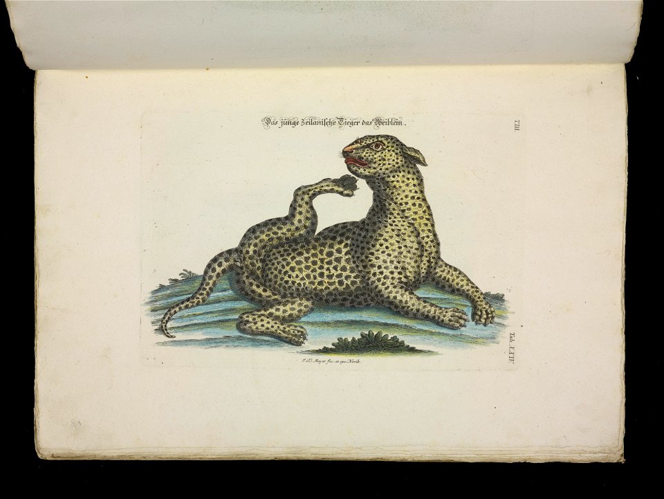 Angenehmer und nutzlicher Zeit-Vertreib mit Betrachtung curioser Vorstellungen allerhand kriechender, fliegender und schwimmender Thiere 1756 (44268738)