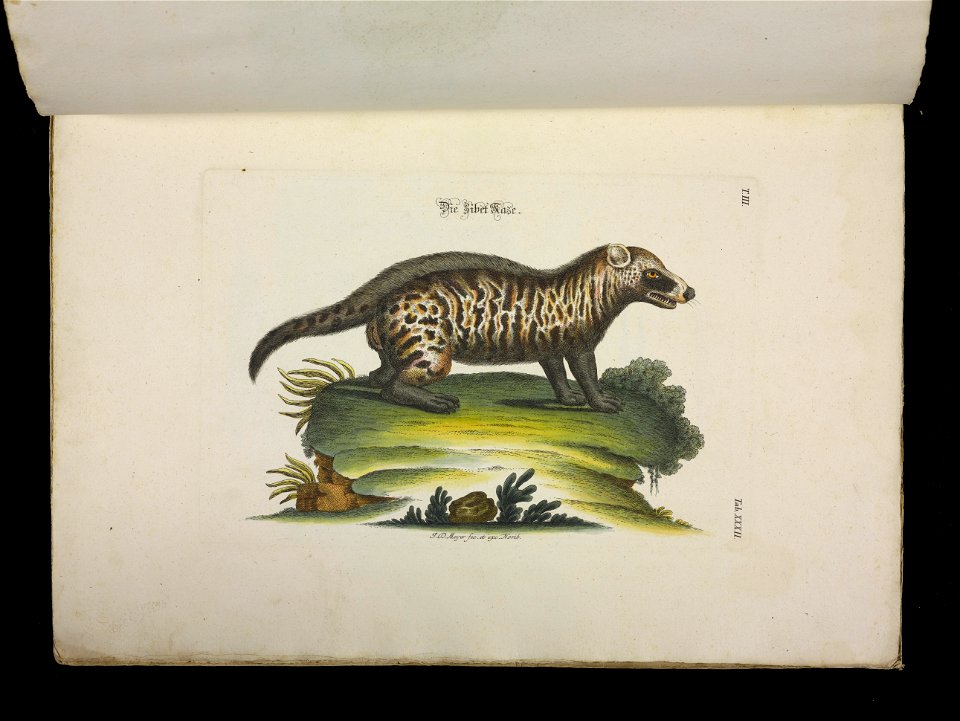 Angenehmer und nutzlicher Zeit-Vertreib mit Betrachtung curioser Vorstellungen allerhand kriechender, fliegender und schwimmender Thiere 1756 (44269552)