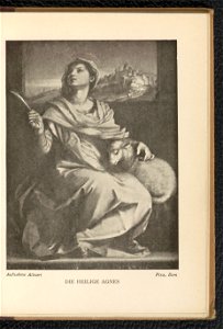 Andrea del Sarto 1904 (130651248)