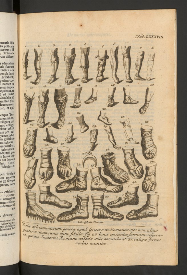 Antiqvitates Graecae Et Romanae 1763 (95160005)