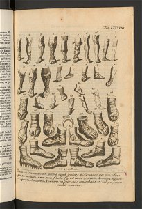 Antiqvitates Graecae Et Romanae 1763 (95160005)