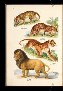 Atlas panstwa zwierzecego. Cz. 1, Zwierzeta ssace 1905 (79894231)