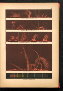 Bilder-Atlas der Sternenwelt - eine Astronomie fur jedermann 1888 (128494948)